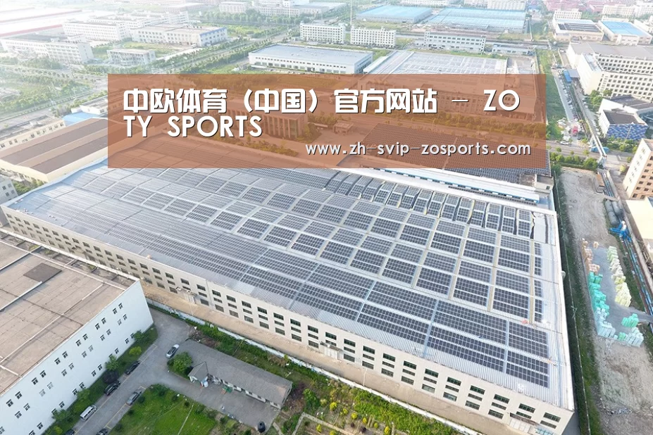 案例展示一