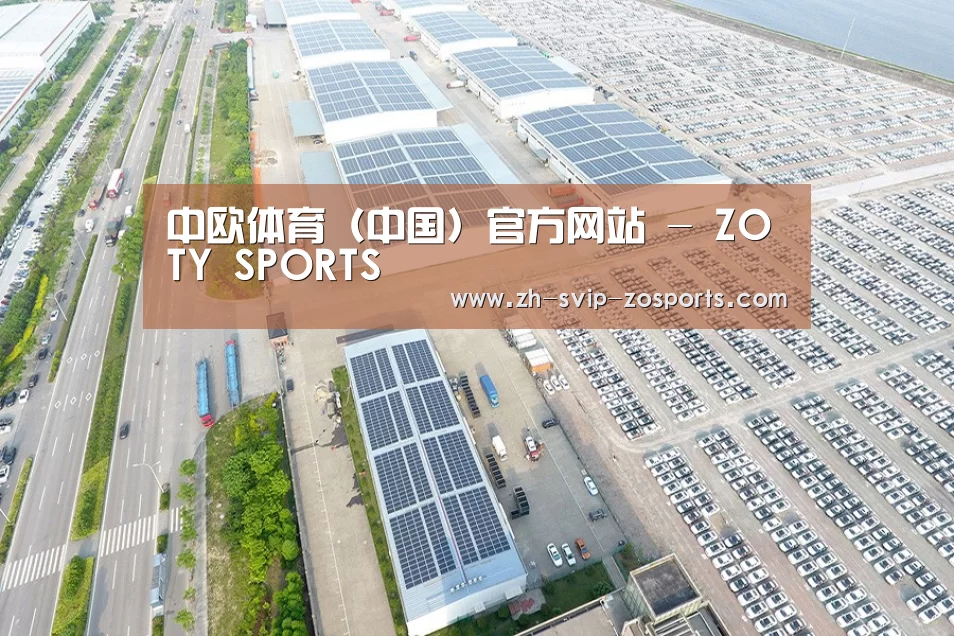 案例展示三