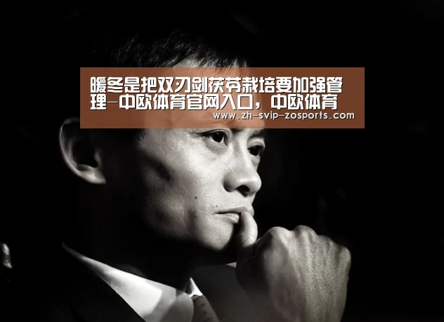 暖冬是把双刃剑茯苓栽培要加强管理-中欧体育官网入口,中欧体育官方下载,中欧体育平台(图1) 中欧体育官网入口,中欧体育官方下载,中欧体育平台