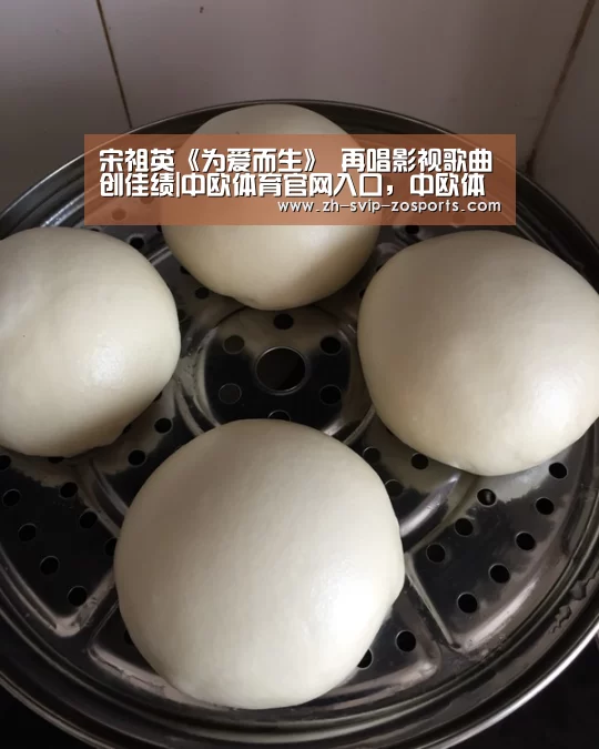宋祖英《为爱而生》 再唱影视歌曲创佳绩|中欧体育官网入口,中欧体育官方下载,中欧体育平台(图1) 中欧体育官网入口,中欧体育官方下载,中欧体育平台