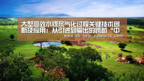 大型高效水煤浆气化过程关键技术创新及应用:从引进到输出的跨越“中欧体育官网入口,中欧体育官方下载,中欧体育平台”(图3) 中欧体育官网入口,中欧体育官方下载,中欧体育平台