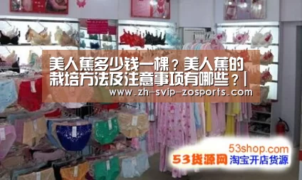 美人蕉多少钱一棵？美人蕉的栽培方法及注意